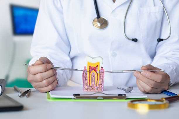 Best Emergency Treatment for Oral Infections in Braddock Hills, PA